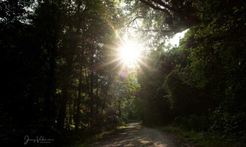 Sonnensterne fotografieren