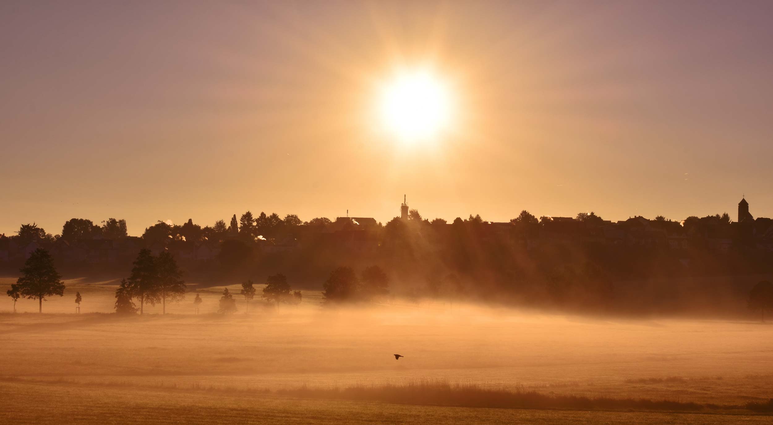 Sonnenuntergang im Nebel